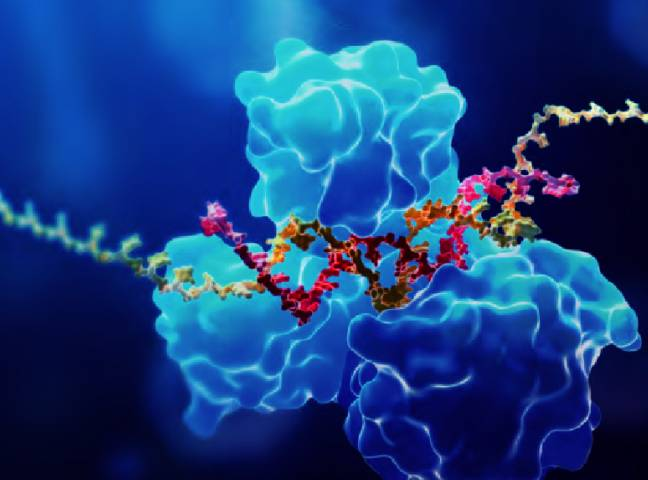 Therapeutic approaches